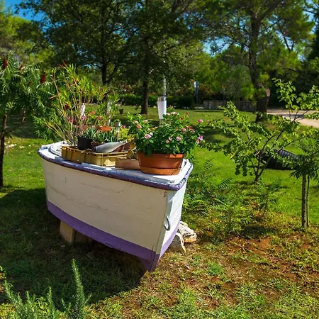 Emanuel Tatil Evi Pula